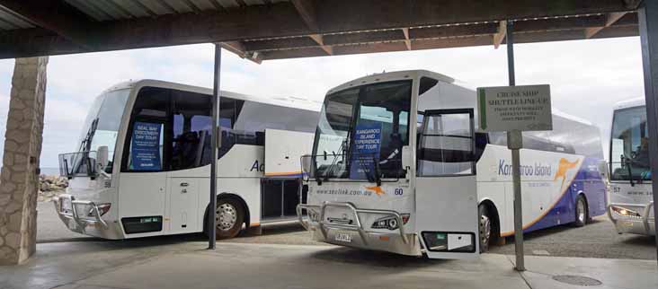 Sealink Scania K360IB Coach Design 59, 60 & 57